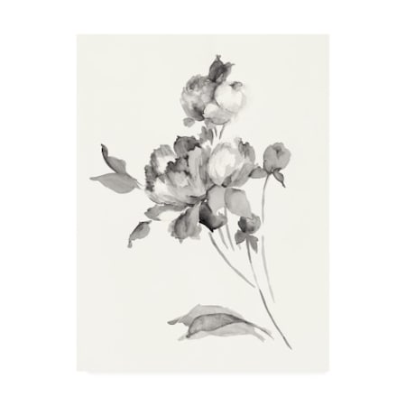 Wild Apple Portfolio 'Peony Blossoms Gray' Canvas Art,14x19